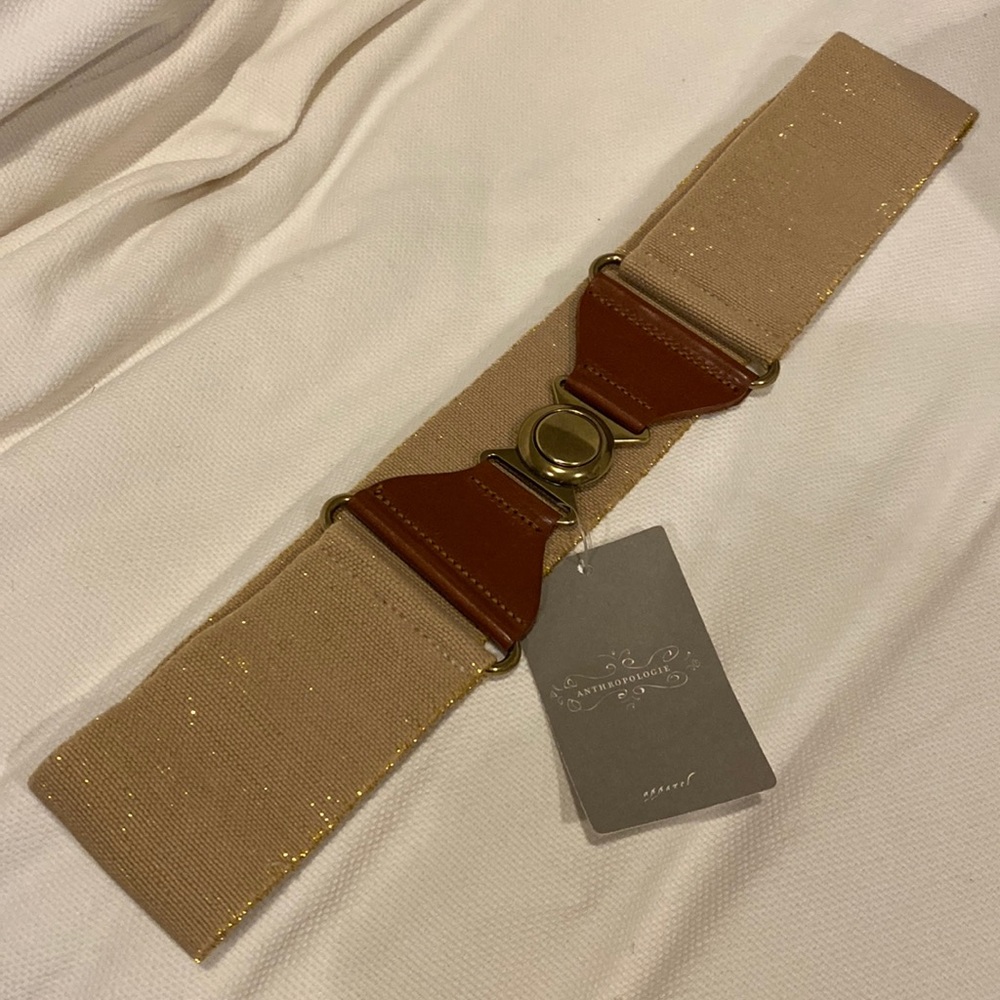 Anthropologie Gold Belt with leather and gold accents